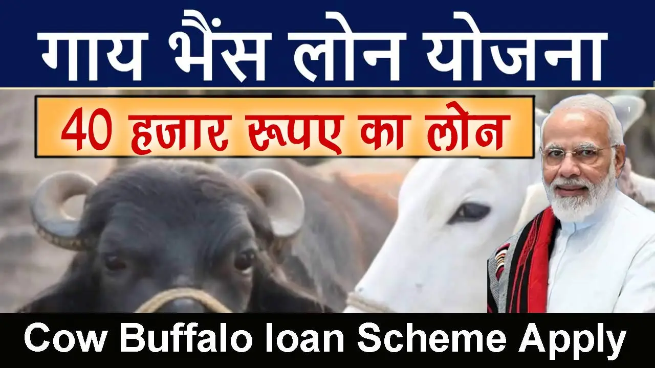 गाय भैंस लोन योजना ऑनलाइन आवेदन 2025 - Gaay bhes loan Yojana online application alt=