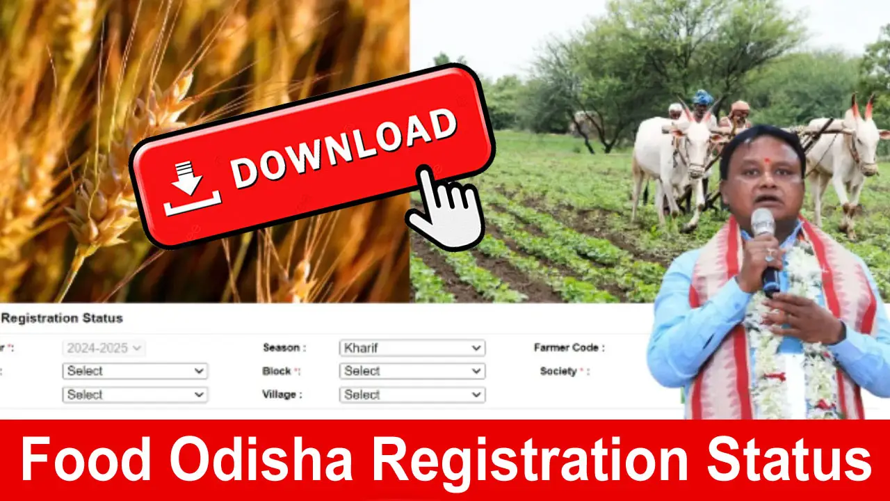 Food Odisha Registration Status 2024 Online at food.odisha.gov.in Farmer Report alt=