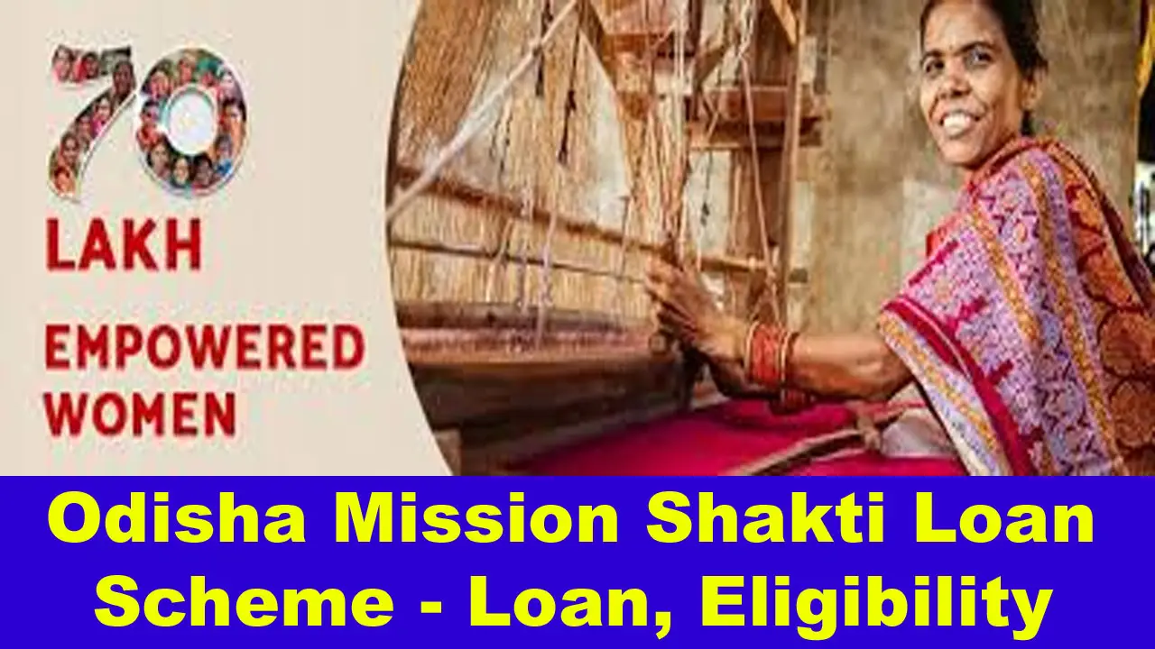 mission shakti loan scheme odisha