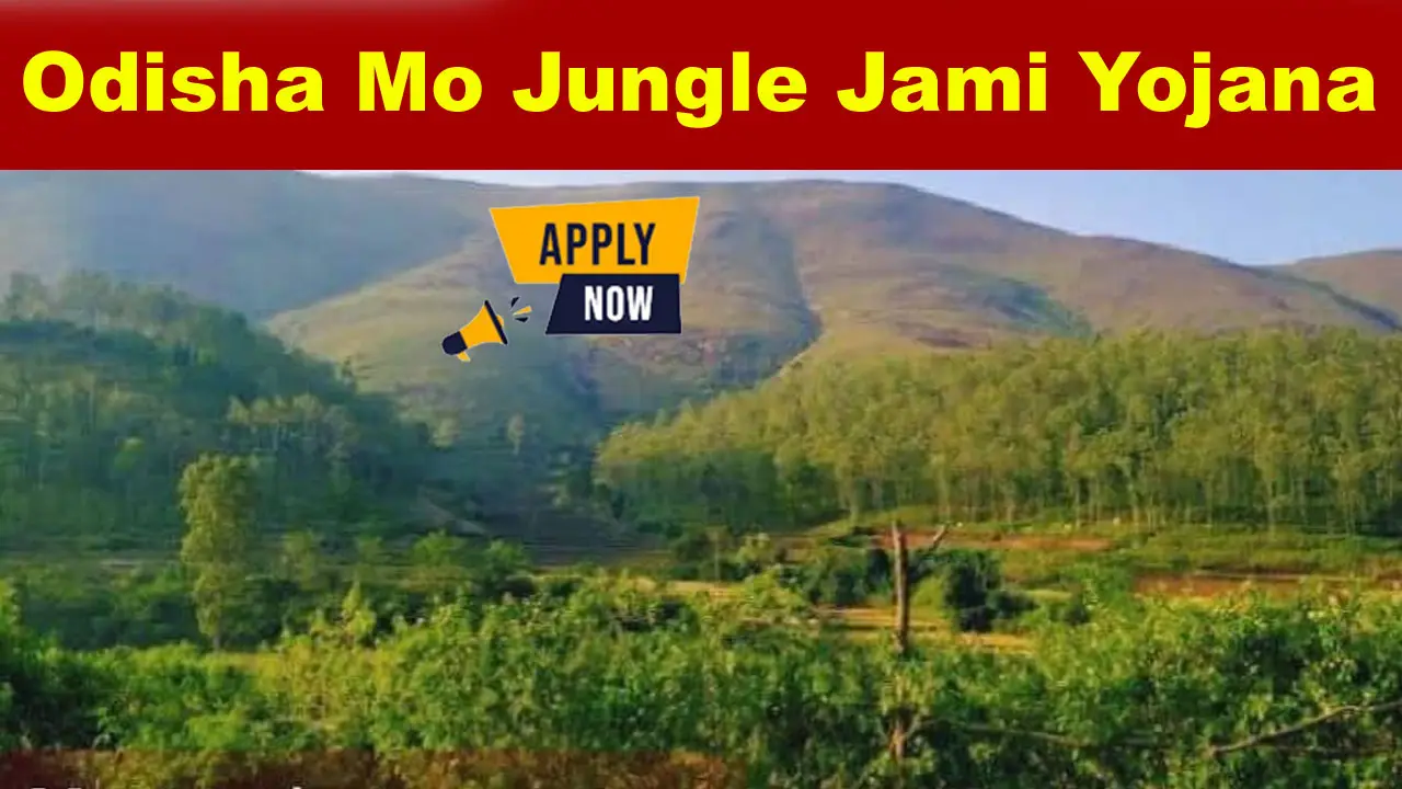 odisha mo jungle jami yojana