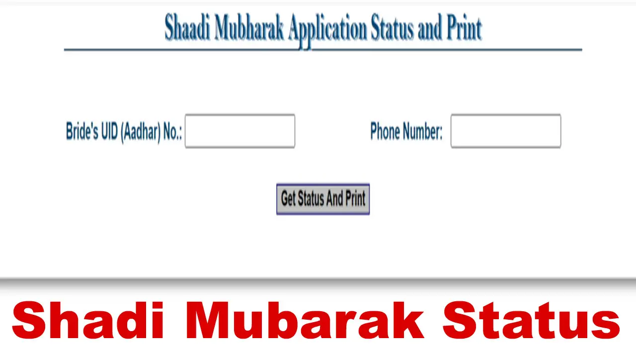 shaadi mubarak status check