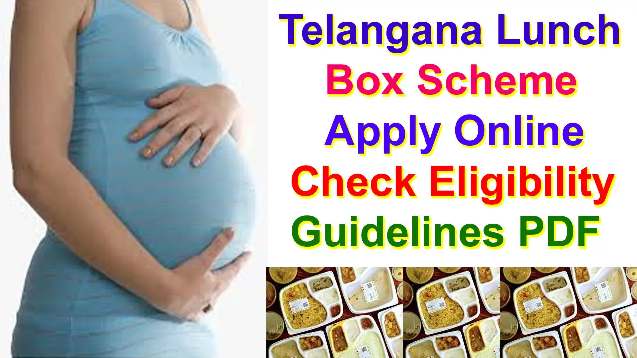 Telangana Lunch Box Scheme Apply Online - Check Eligibility & Guidelines PDF alt=