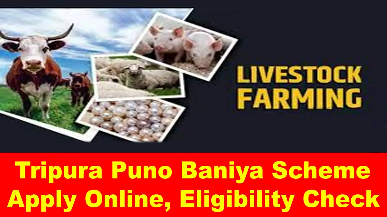 Tripura Puno Baniya Scheme 2024: Apply Online, Eligibility & Benefits alt=